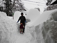 大雪 人と比べると･･･ フレーバーネット x 戸塚醸造店